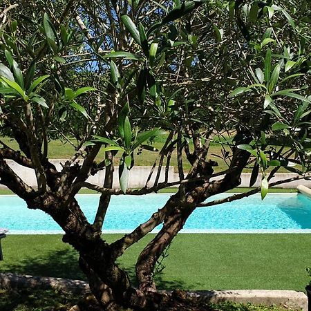 Chambre Saint Emilion - Le Clos D'Antan Les Artigues-de-Lussac Exterior foto